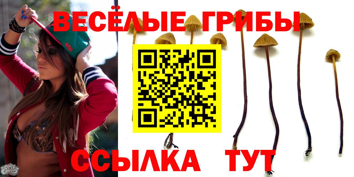 Лесосибирск  Псилоцибиновые грибы мухоморы  Вход с VPN 